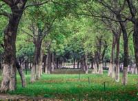 动漫版华南理工，你见过吗？