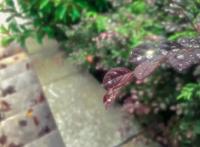 动漫版华南理工，你见过吗？