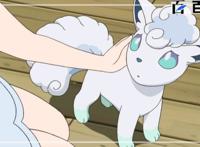 动漫精灵宝可梦：精美的高清图就能记得住的动漫