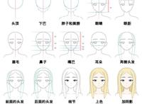 如何画动漫人物头像简易教程