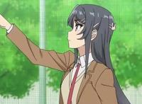 动漫情侣头像集（青春猪头少年）