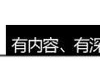巾帼不让须眉！盘点动漫中的五位美女警察
