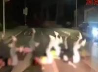 8名女子违规霸路拍视频热舞，挑战公序良俗哗众取宠要不得！