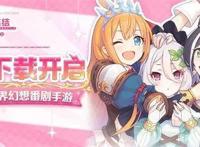 二次元的二次革命游戏营收占据B站Q2半壁江山