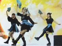 二次元成瘾分等级，轻度爱好最合理，严重的都已妄想症