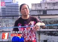 这些年上过新闻的老二次元们