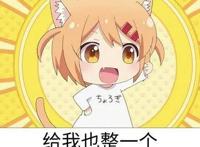 二次元专用词汇！（萌新向）