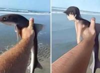 现实与二次元之间对比，果然还是二次元更胜一筹