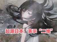 国漫不是二次元，只有日漫才是，终究国漫不配？