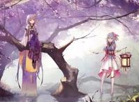 “二次元”用英语怎么说？