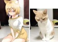 你为何喜欢二次元？看完这些图片，找到原因了！