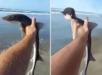 你为何喜欢二次元？看完这些图片，找到原因了！