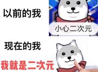 何为“二次元”？有的人听见这词觉得找到了同类，有的人觉得别扭