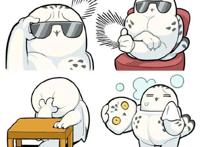 动漫中的帅哥美女看腻了，来看看小鸟们吧，可爱又治愈