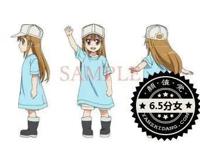 漫迷们最喜欢的8位老婆颜值测试，血小板6.5分垫底，雏田高居榜首