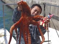 动漫里触手怪喜欢美少女的设定，可不是空穴来风，是有科学依据的