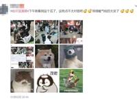 哈尔滨漫展cos兔女郎摆不雅照，麻衣学姐形象被毁，女coser还怼人