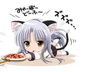 二次元美女之最美猫耳娘，有你喜欢的角色吗？