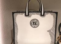 LDS分享｜你喜欢这样的漫画二次元吗？