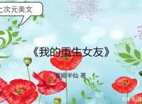 二次元美文：在二次元，一切皆有可能！