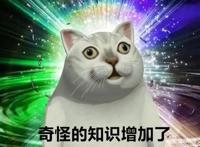 当萌新踏入二次元后，他会学到什么？他会知道“本子不再是本子”