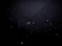 五等分的花嫁：官方剧透暗示结局？这些动画隐藏伏笔你发现了吗