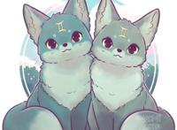 十二星座“拟狐狸化”，这回不拟人、拟狐狸，摩羯座傲娇样真可爱