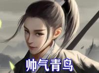 雪中悍刀行：五大女神动漫形象来袭，青鸟太拉风，乃甲鱼幼薇瞩目