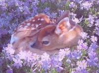 OMG｜头像玄学，是谁的前男友又中招了？