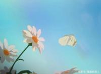 贡献超多情侣头像、如同冰淇淋般美妙动漫你看过吗~不看后悔系列