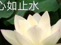 二次元头像泛滥，折木成渣男代表？这绝对是折木被黑的最惨的一次