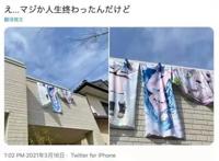动漫美少女抱枕，那么受宅男欢迎，却怕被“公开处刑”？