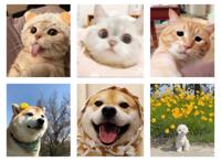 实不相瞒，你的微信头像出卖了你