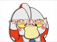 光遇：可达鸭一夜爆红，如果和光遇联动，情头安排上了？