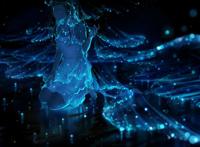 动漫壁纸、头像｜P站精选｜寒冷冬日，你比春天先到一步