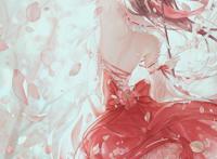 动漫壁纸、头像｜P站精选｜寒冷冬日，你比春天先到一步