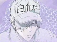 工作细胞：8组超甜情侣头像，第七组超霸气，最后一组萌出血！