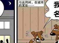 阿衰：名字够“衰”，美好桃花运就这么飞了，狗狗：我要改名！