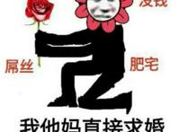 笑到窒息的沙雕情侣头像