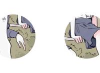 动漫情头｜此生棠棣开荼蘼