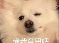 有没有好看又可爱的情头？