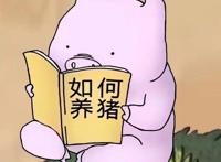 有没有好看又可爱的情头？