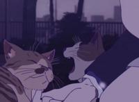 动漫情侣头像，可甜可咸！