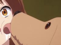 每天都要用可爱的动漫情头