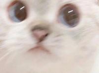 可爱动漫情头，你值得拥有