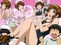 动漫大盘点之后宫篇，数风流动漫还看今朝！