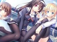 动漫：几部口碑良好的后宫番，献给各位大佬！