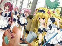 后宫动漫入坑指南