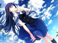 近些年的后宫动漫，好看的都在这里