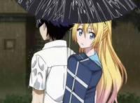 近些年的后宫动漫，好看的都在这里